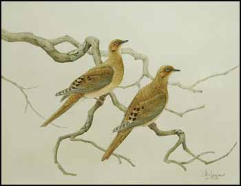 Mourning Doves by Don Li-Leger sold for $351