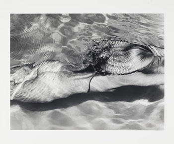 Mermaid 1, Amagansett, NY by Michael Dweck vendu pour $3,750