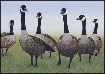 Canada Geese (00966/2013-1814) by Don Li-Leger sold for $563