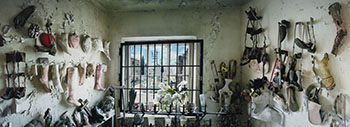 View from St. Roch Chapel, New Orleans by Scott McFarland