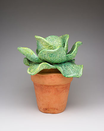 Cabbage in Pot by Victor Cicansky