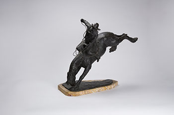 Bronco by Domien Ingels