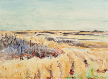 Untamed Field (WC-017-74) par Dorothy Knowles
