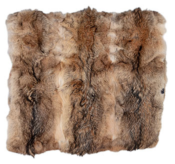 HBC x Caroline Furs Collaboration Coyote Blanket by Hudson's Bay Company 