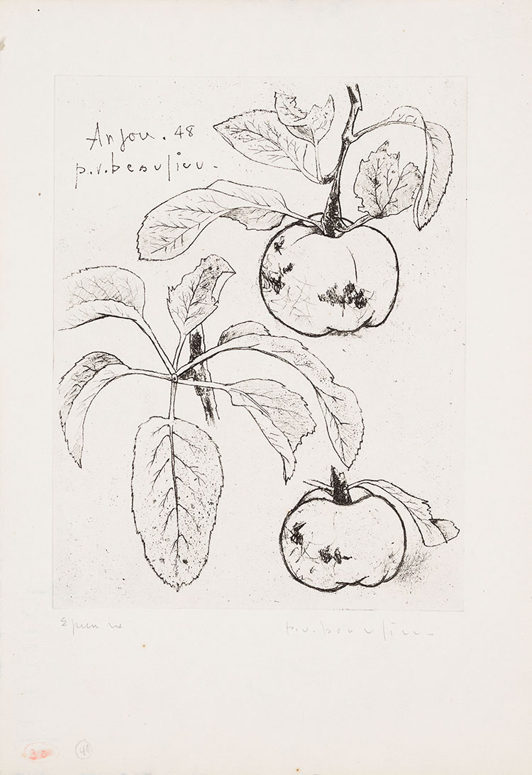 Pommes (Épreuve) par Paul Vanier Beaulieu