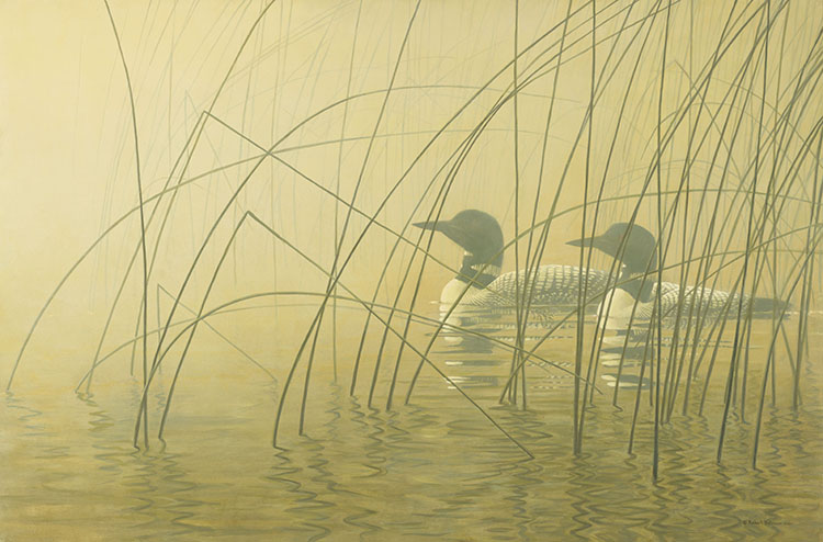 Loons in Morning Mist by Robert Bateman