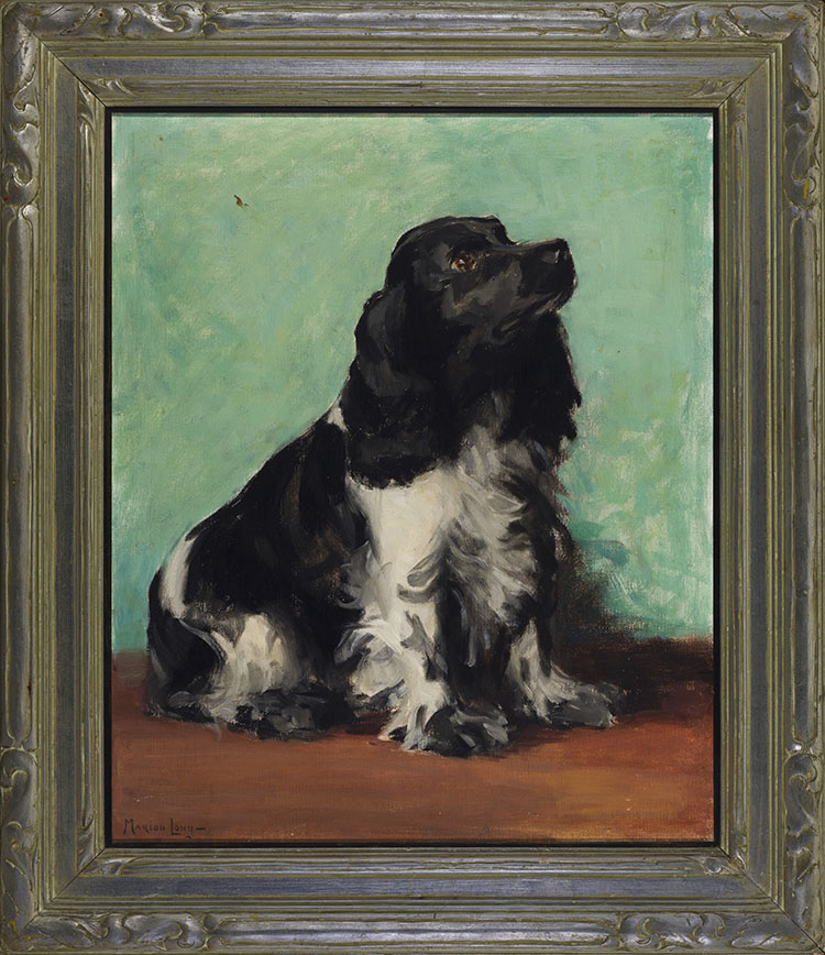 Spaniel by Marion Long