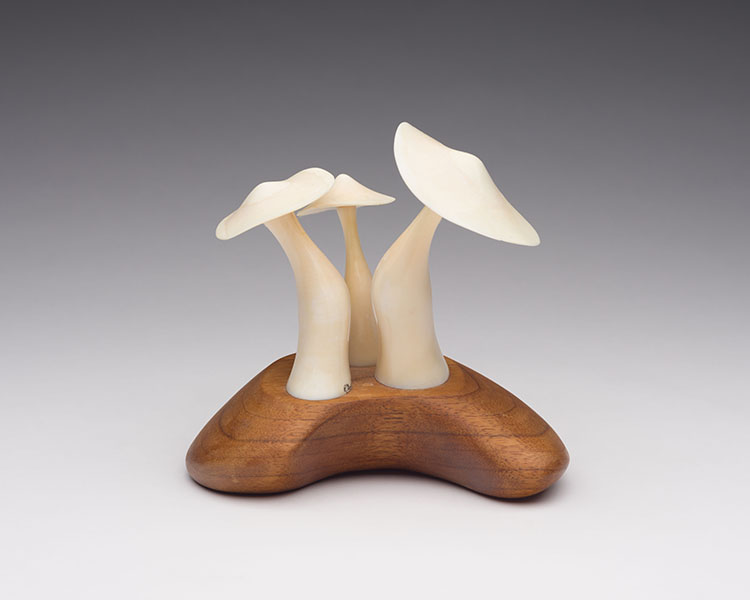 Three Mushrooms by Robert Dow Reid