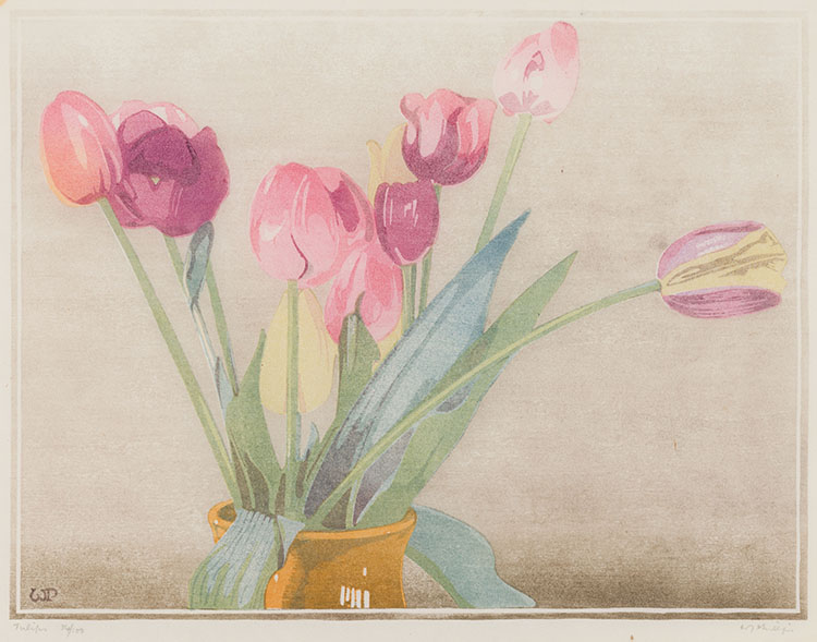 Tulips par Walter Joseph (W.J.) Phillips