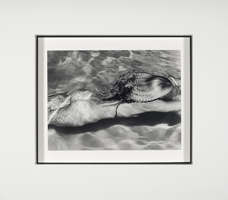 Mermaid 1, Amagansett, NY by Michael Dweck