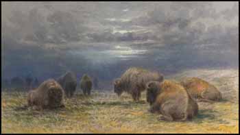 Buffalo Grazing During the Approaching Storm by Frederick Arthur Verner sold for $17,250