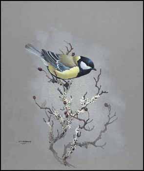 Great Tit by James Fenwick Lansdowne sold for $5,750