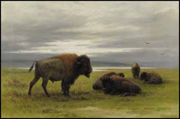 Buffalo on the Prairies by Frederick Arthur Verner sold for $26,325