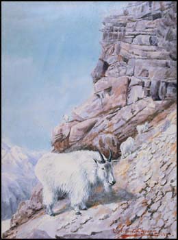 Mountain Goat by Charles Warburton Young vendu pour $110
