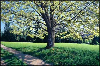 Spring Maple by Jim McKenzie sold for $5,850