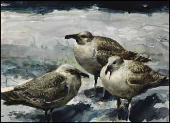 Three Seagulls by Sam Black sold for $1,989