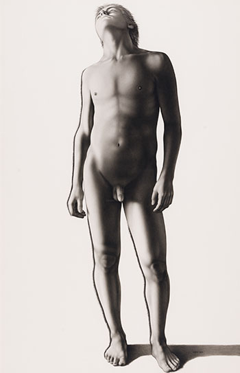 Young Male, Study by Jeremy Lawrence Smith sold for $4,375