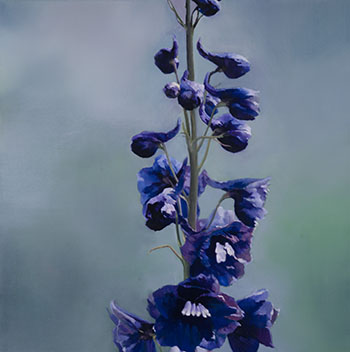 Delphinium by James Lahey sold for $3,750
