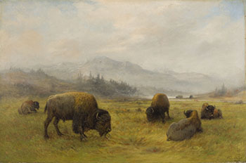 Buffalo Grazing by Frederick Arthur Verner sold for $22,500