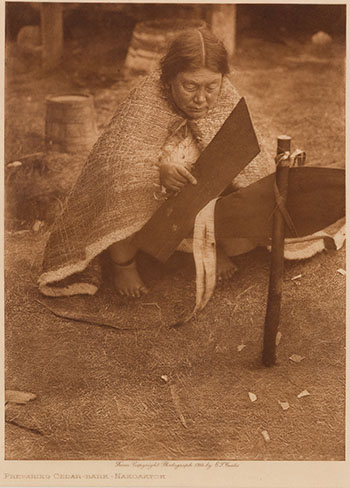 Preparing Cedar-Bark - Nakoaktok by Edward Sherriff Curtis sold for $375