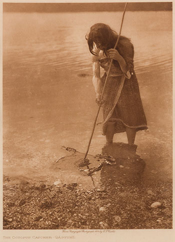 The Octopus Catcher - Qagyuhl by Edward Sherriff Curtis sold for $281