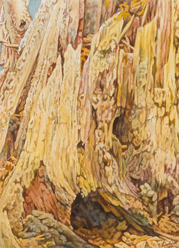 Tree Trunk by Ernest Lindner vendu pour $3,125