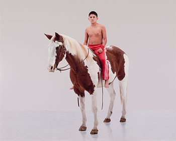 Baby Boyz Gotta Indian Pony by Dana Claxton sold for $18,750