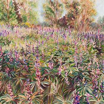 Lupines - Study III by Jamie Evrard sold for $1,000