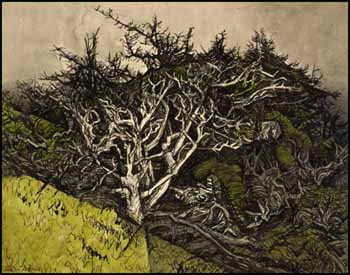 Trees in a Sand Dune 2 by Alistair Macready Bell sold for $585