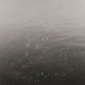 Water Droplets by Adam Fuss vendu pour $15,000