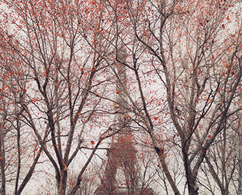 Eiffel Tower 01, Paris, France by David Burdeny sold for $2,250