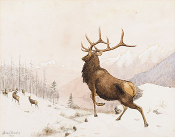 Elk in Snow by Allan Brooks vendu pour $563