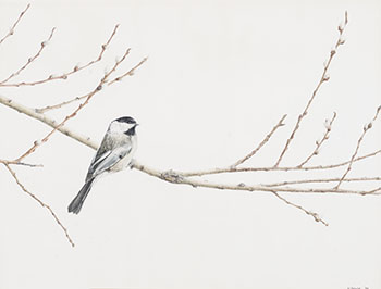 Black-capped Chickadee by Melinda Brewer sold for $63