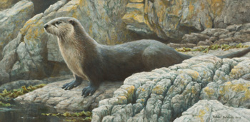 Shoreline - Otter by Robert Bateman sold for $61,250