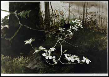 Dogwood by Andrew Wyeth sold for $8,625