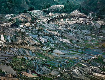 Rice Terraces #5, Western Yunnan Province, China by Edward Burtynsky vendu pour $18,750