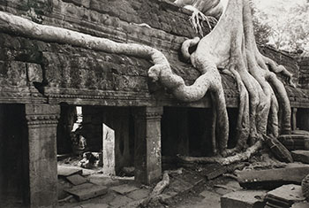 Angkor, Ta Prohm by Kenro Izu sold for $438