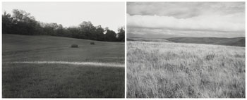Two Photographs - Meadow, Last Sun and Prairie, Lincoln County, Minnesota by John Szarkowski vendu pour $1,750