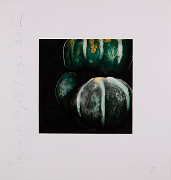 Squash by Donald Sultan sold for $625