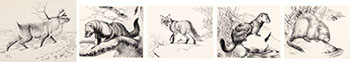 Five works: Barren Ground Caribou (#00052), Weasel (#00057), Red Fox (#00060), Mink (#00055), Muskrat (#00062) by Clarence Ingwall Tillenius vendu pour $625