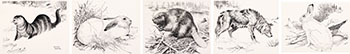 Five works: Otter (#00053), Jack Rabbit (#00064), Beaver (#00065), Timberwolf (#00059), Arctic Hare (#00063) by Clarence Ingwall Tillenius vendu pour $1,125