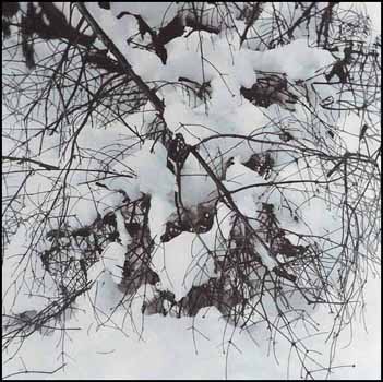 Fallen Branch in Snow (01576/2013-2471) by Judy Gouin vendu pour $108