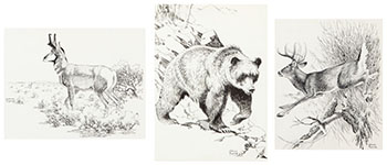 Three Works: White Tailed Deer (#0141), Antelope (#0148), Grizzly (#0150) by Clarence Ingwall Tillenius sold for $1,875