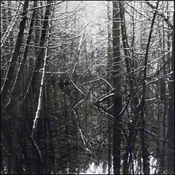 Beaver Swamp, Spring Snow II (02730/2013-1284) by Judy Gouin vendu pour $188