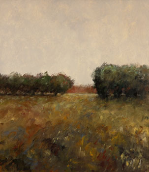 Meadow (03611/82) by Richard Storms sold for $1,500