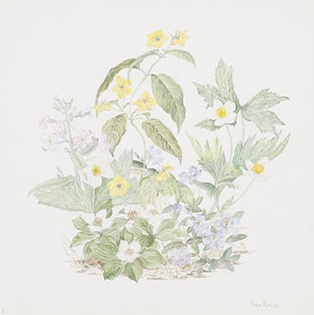 Wildflowers - Wilket Creek by Anne E. Rich sold for $94