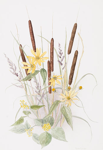 Wildflowers by Anne E. Rich vendu pour $94