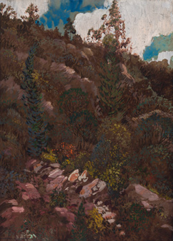 A Canyon Wall, Algoma by Frank Hans (Franz) Johnston