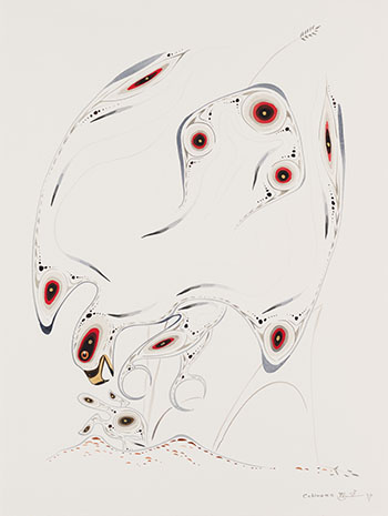 Red Tailed Hawk by Eddy Cobiness