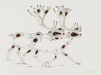  Caribou by Eddy Cobiness